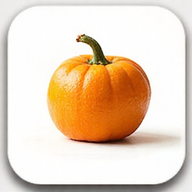 Ernährungsberatung Online logo